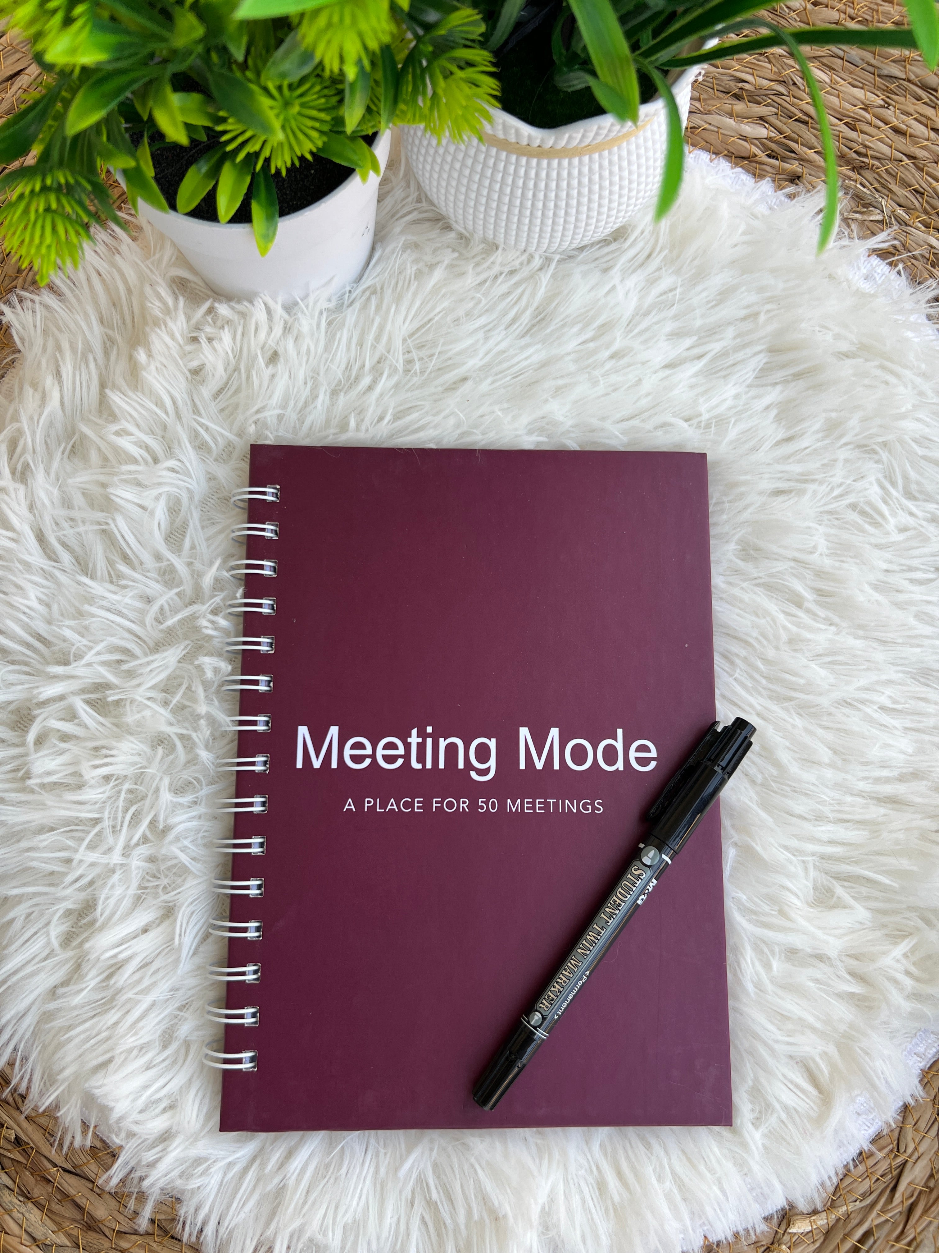 Meeting Mode - Notebook