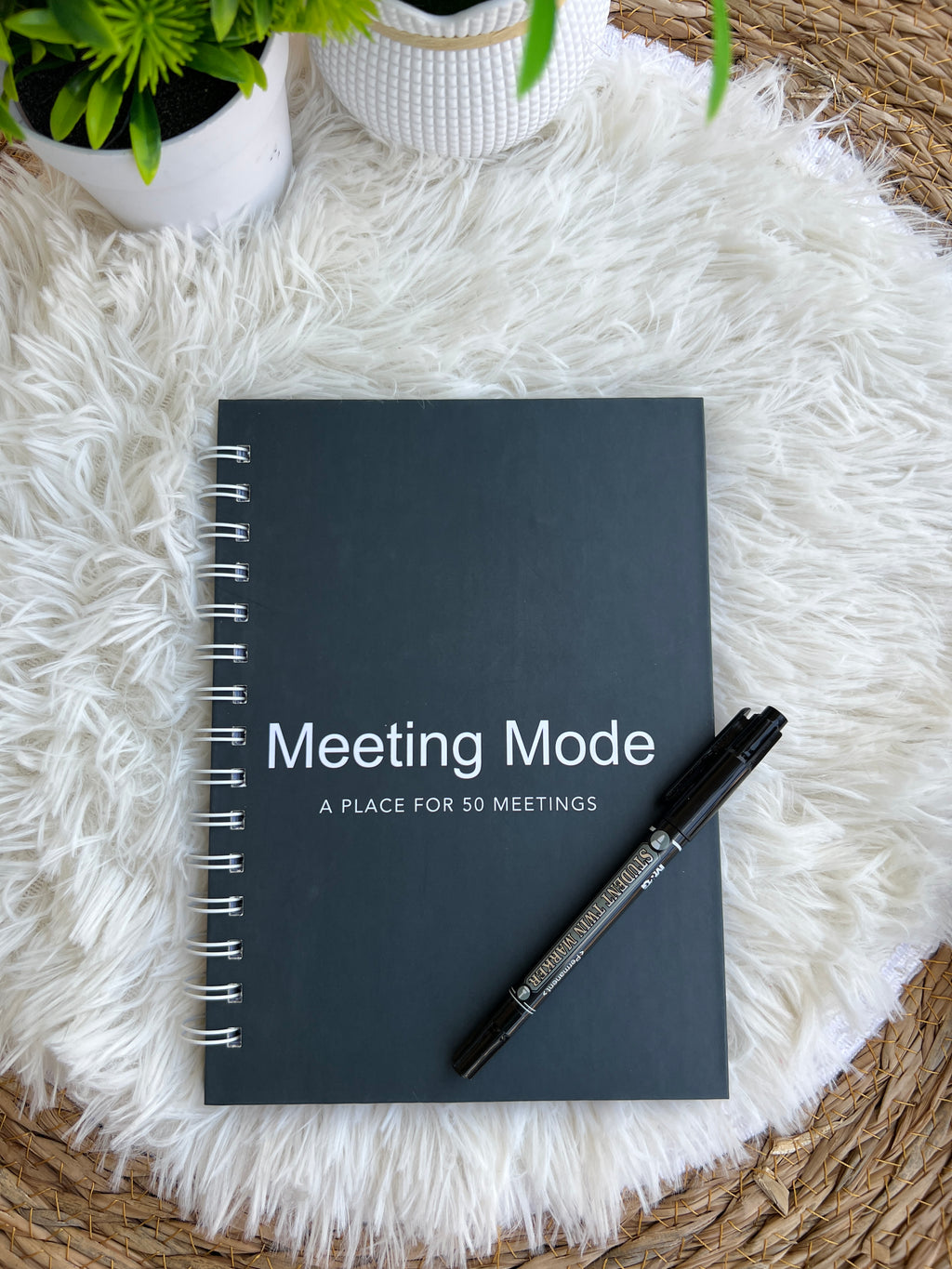 Meeting Mode - Notebook