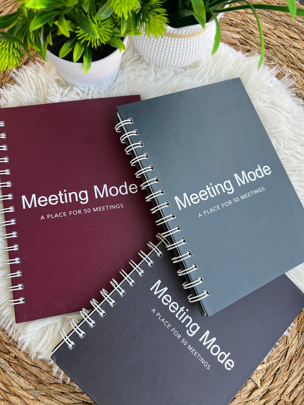 Meeting Mode - Notebook