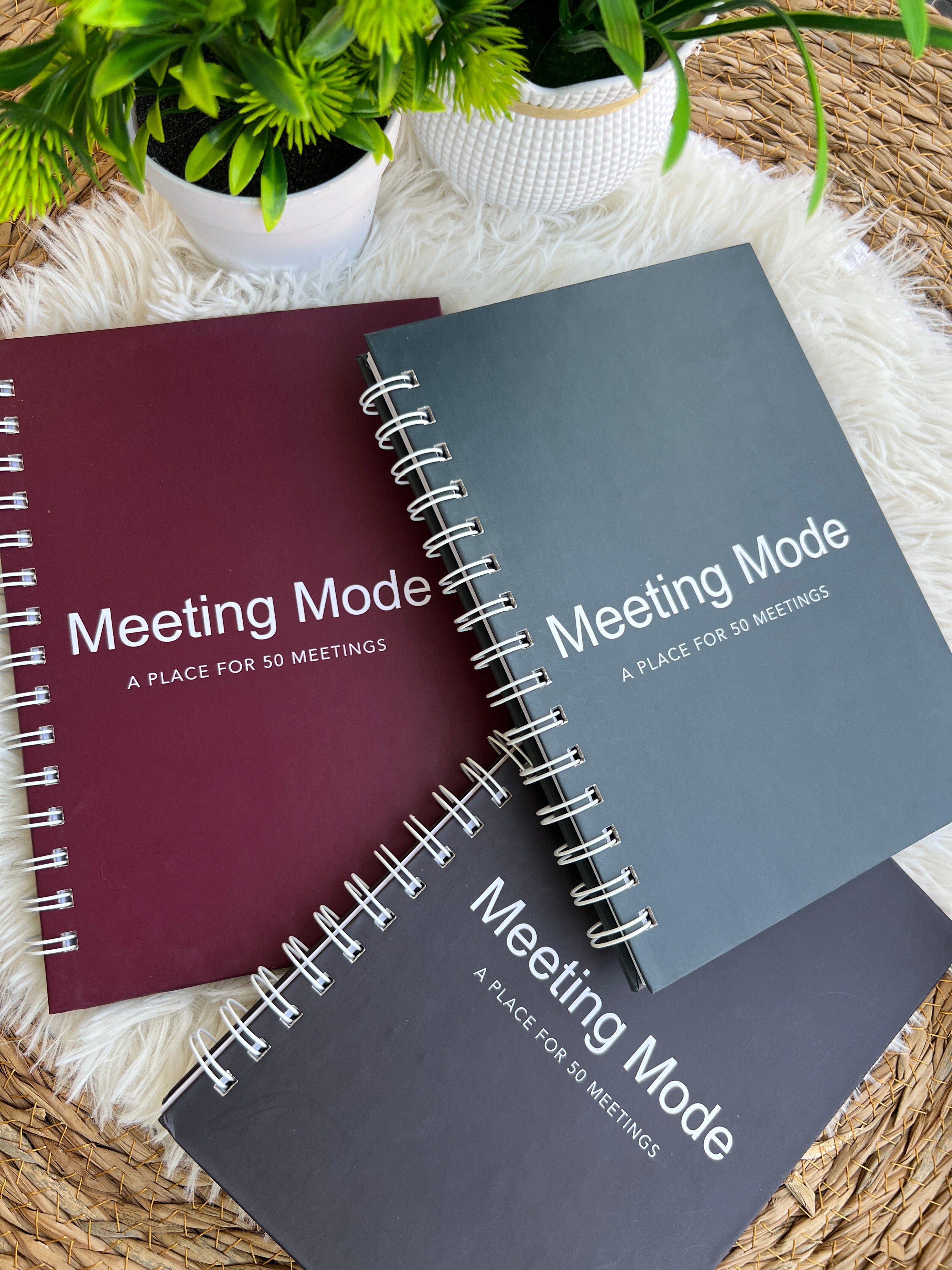 Meeting Mode - Notebook