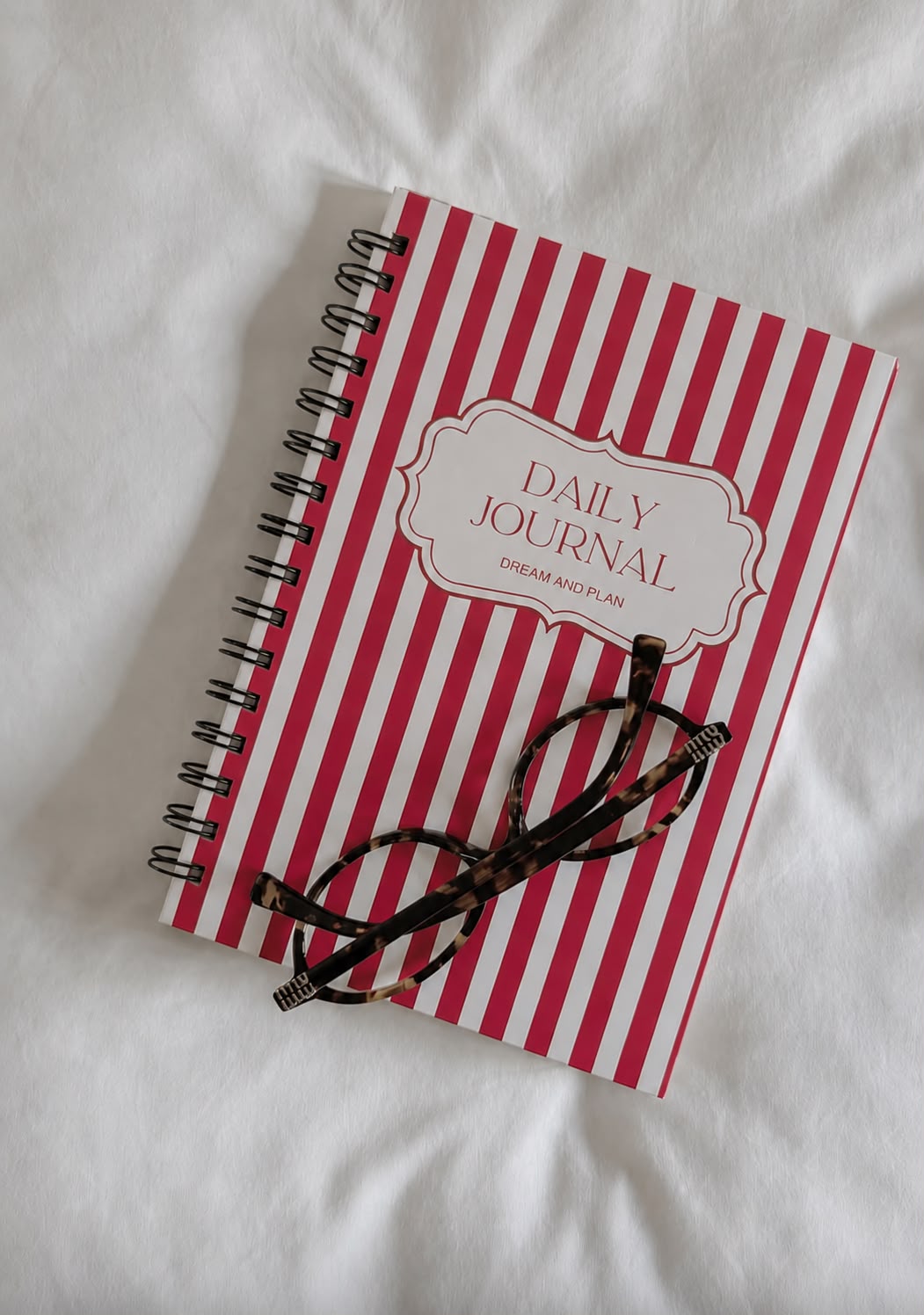 Classic Stripes - Daily Journal