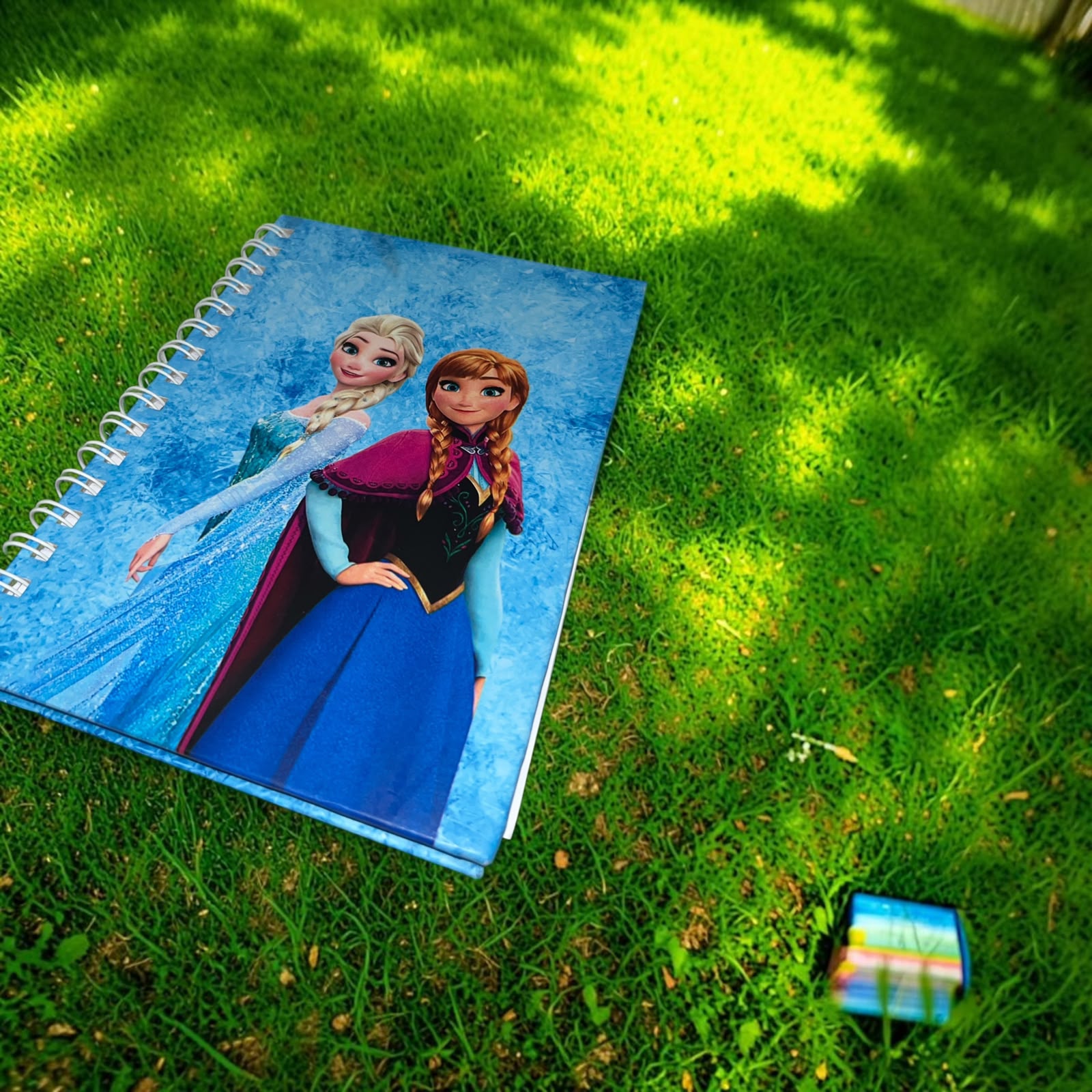 Frozen Notebook