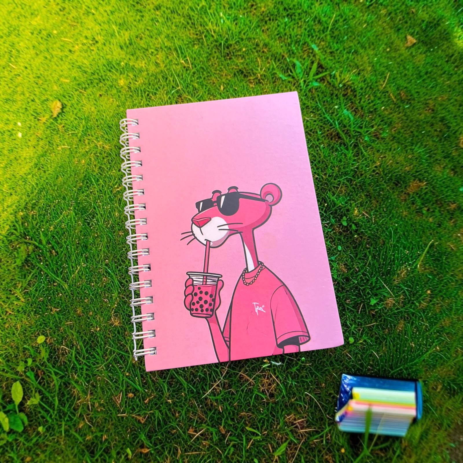Pink Panther Notebook